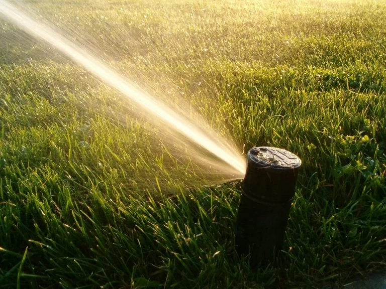 Water Features